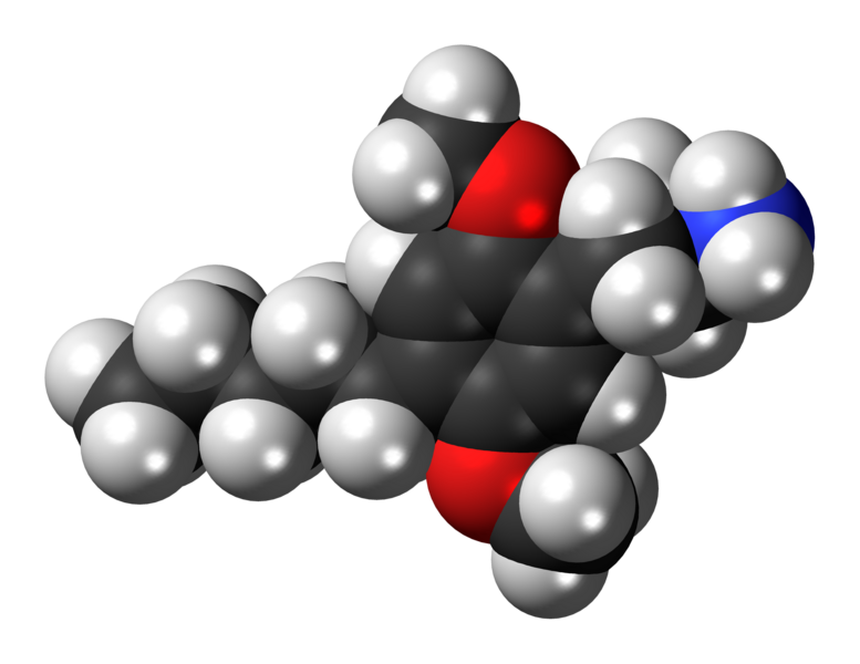 File:2,5-Dimethoxy-4-amylamphetamine-3D-spacefill.png