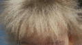 Thumbnail for version as of 22:35, 8 June 2026