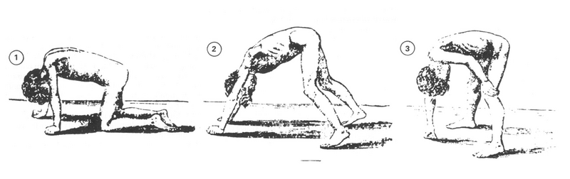 File:Gowers's sign.png