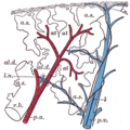Thumbnail for version as of 17:28, 18 May 2026