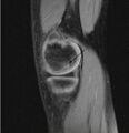 Thumbnail for version as of 01:21, 2 June 2026