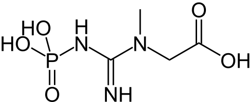 File:Phosphocreatine.svg