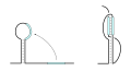 Thumbnail for version as of 22:33, 8 June 2026
