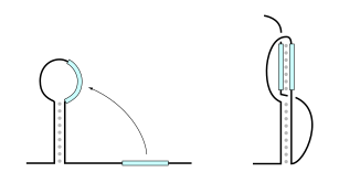 File:PseudoknotFold.svg