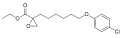 Etomoxir