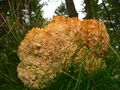 Thumbnail for version as of 13:40, 8 June 2026