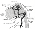 Thumbnail for version as of 17:28, 18 May 2026