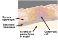Thumbnail for version as of 12:52, 29 May 2026