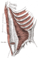 Thumbnail for version as of 17:28, 18 May 2026