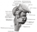 Thumbnail for version as of 17:28, 18 May 2026