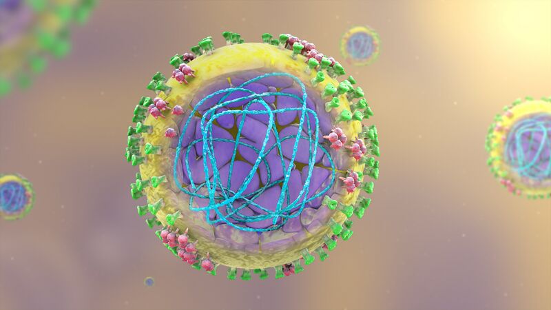 File:H1N1 virus.jpg