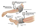 Thumbnail for version as of 03:18, 5 June 2026