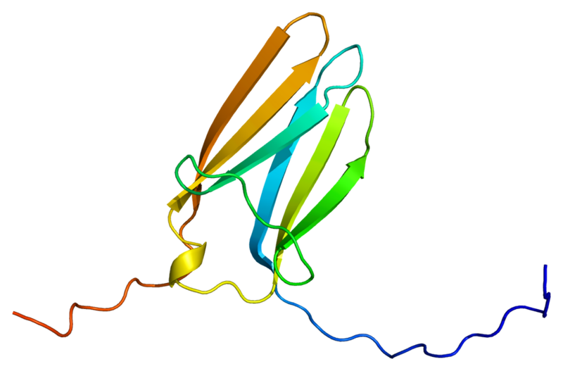 File:Protein NTRK3 PDB 1wwc.png