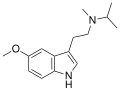 Thumbnail for version as of 16:51, 19 May 2026