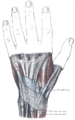 Thumbnail for version as of 17:28, 18 May 2026