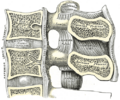 Thumbnail for version as of 17:28, 18 May 2026
