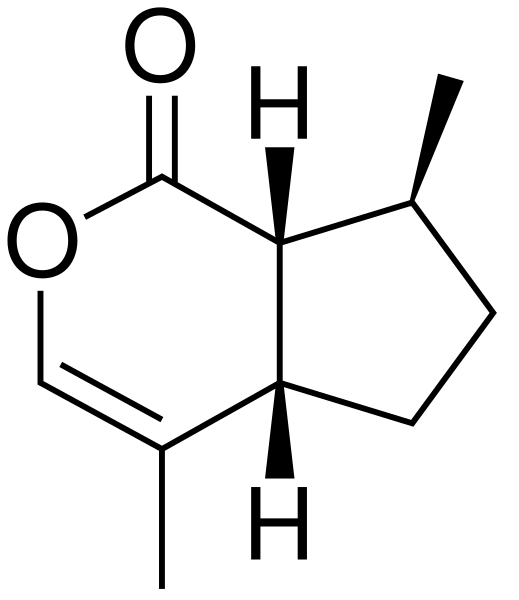 File:Nepetalactone.svg