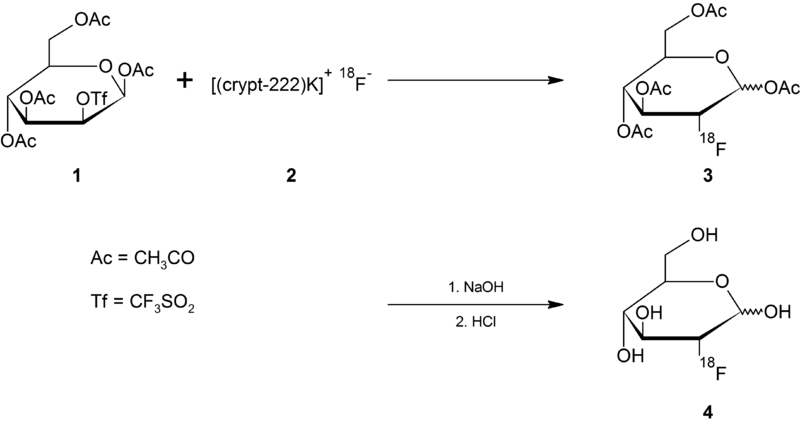 File:Synthesis of 18FDG.png