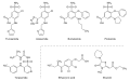 Thumbnail for version as of 15:35, 22 May 2026