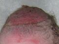 Thumbnail for version as of 03:33, 5 June 2026