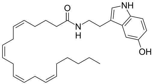 File:Arachidonoyl serotonin.svg