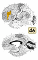 Thumbnail for version as of 19:19, 4 June 2026
