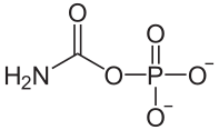 File:Carbamoylphosphat deprotoniert.svg