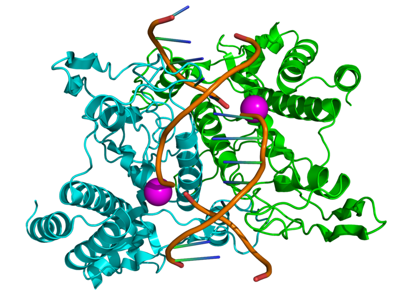 File:1QPS.png