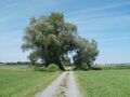Thumbnail for version as of 02:06, 7 June 2026