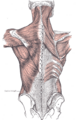 Thumbnail for version as of 03:47, 18 May 2026