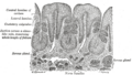 Thumbnail for version as of 17:28, 18 May 2026
