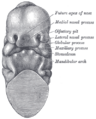 Thumbnail for version as of 17:28, 18 May 2026