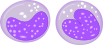 File:Monocyte.svg