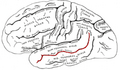 Thumbnail for version as of 02:10, 7 June 2026