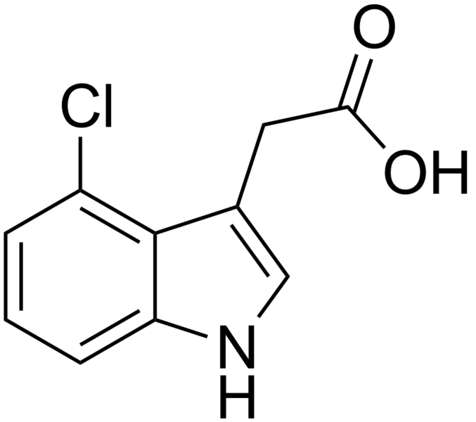 File:4-chloroindole-3-acetic acid.png