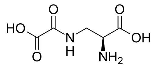 File:Beta-oxalylamino-L-alanine.svg