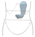 Thumbnail for version as of 17:28, 18 May 2026
