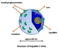 Thumbnail for version as of 11:35, 20 May 2026