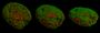 Thumbnail for version as of 02:07, 7 June 2026