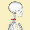 Thumbnail for version as of 19:19, 4 June 2026
