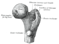 Thumbnail for version as of 17:28, 18 May 2026