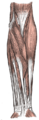 Thumbnail for version as of 17:28, 18 May 2026