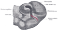 Thumbnail for version as of 17:28, 18 May 2026