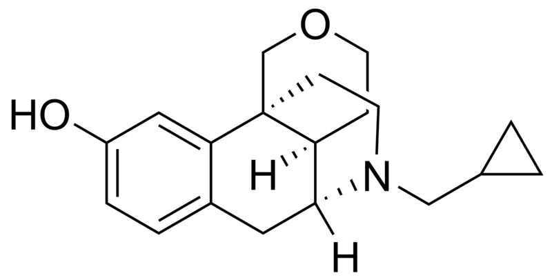 File:Proxorphan.png
