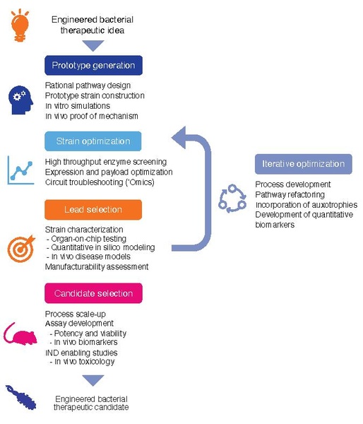File:Strategy for the development of engineered live bacterial therapeutic clinical candidates.pdf