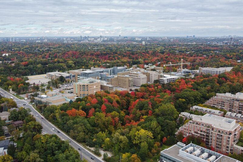 File:Sunnybrook Health Sciences Centre 2022.jpg
