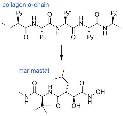 File:Collagen and marimastat.svg