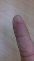 Thumbnail for version as of 13:40, 8 June 2026