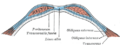 Thumbnail for version as of 17:28, 18 May 2026