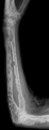 Thumbnail for version as of 22:27, 8 June 2026